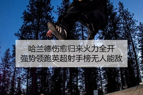 ha-lan-de-shang-yu-gui-lai-huo-li-quan-kai-qiang-shi-ling-pao-ying-chao-she-shou-bang-wu-ren-neng-di-2-380.jpg