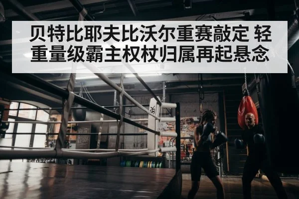boxer training