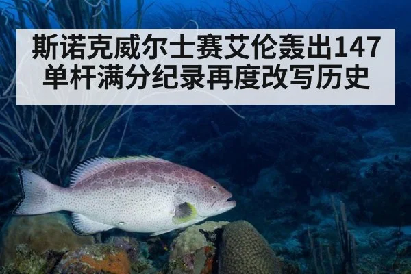斯诺克威尔士赛艾伦轰出147单杆满分纪录再度改写历史